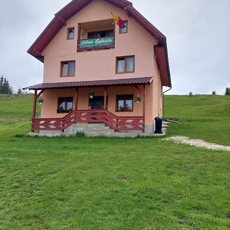 Cabana Gabriela Gîrda de Sus 外观 照片