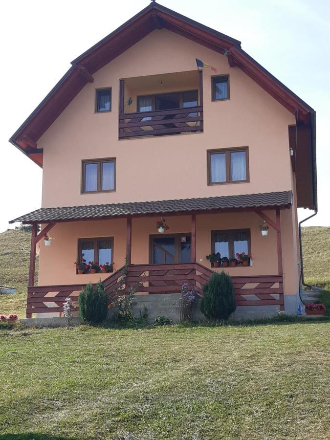 Cabana Gabriela Gîrda de Sus 外观 照片