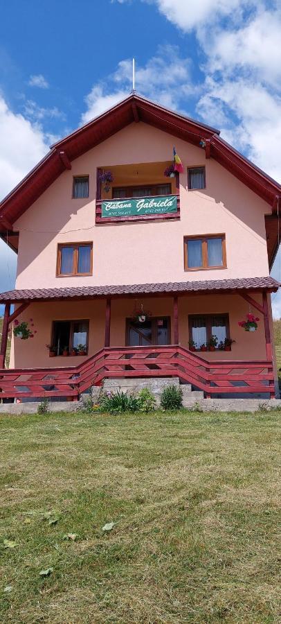 Cabana Gabriela Gîrda de Sus 外观 照片